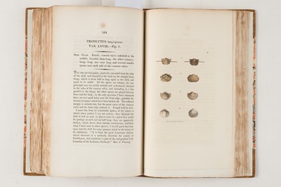 Lot 74 - Sowerby (James). The Mineral Conchology of Great Britain, 6 volumes, 1812-29
