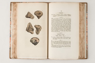 Lot 74 - Sowerby (James). The Mineral Conchology of Great Britain, 6 volumes, 1812-29