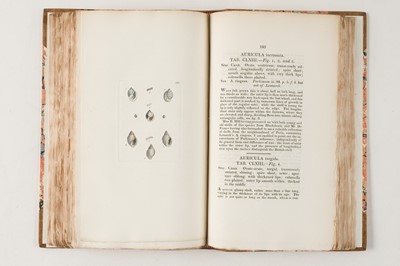 Lot 74 - Sowerby (James). The Mineral Conchology of Great Britain, 6 volumes, 1812-29