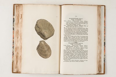 Lot 74 - Sowerby (James). The Mineral Conchology of Great Britain, 6 volumes, 1812-29
