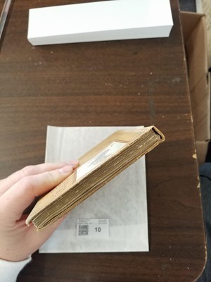 Lot 10 - Potter (Beatrix). The Tale of Peter Rabbit, 1st deluxe edition, 1902