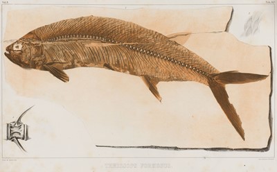 Lot 40 - Agassiz (Louis). Recherches sur les Poissons Fossiles, 1833-43