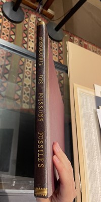 Lot 40 - Agassiz (Louis). Recherches sur les Poissons Fossiles, 1833-43