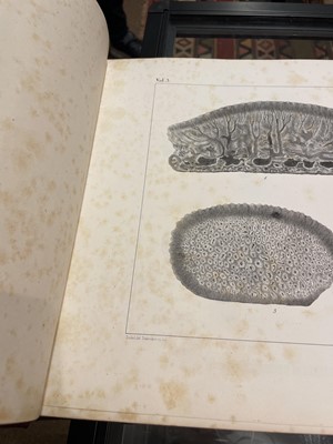 Lot 40 - Agassiz (Louis). Recherches sur les Poissons Fossiles, 1833-43