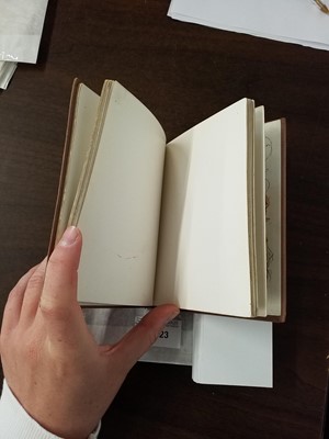 Lot 23 - Potter (Beatrix). The Tale of Benjamin Bunny, 1st deluxe edition, 1904