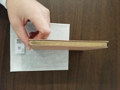 Lot 23 - Potter (Beatrix). The Tale of Benjamin Bunny, 1st deluxe edition, 1904