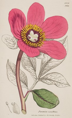 Lot 71 - Smith (James Edward). English Botany, 11 volumes only (of 12), 2nd edition, 1832-44