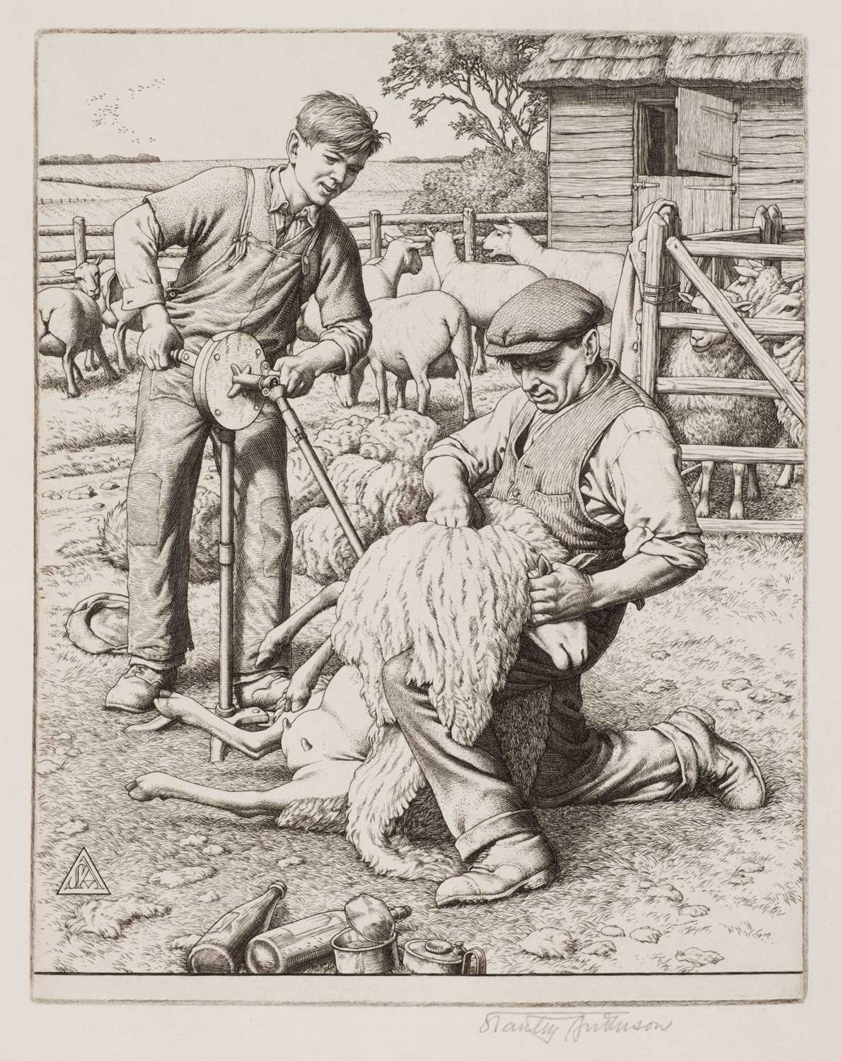 Lot 376 - Anderson (Stanley, 1884-1966). Sheep
