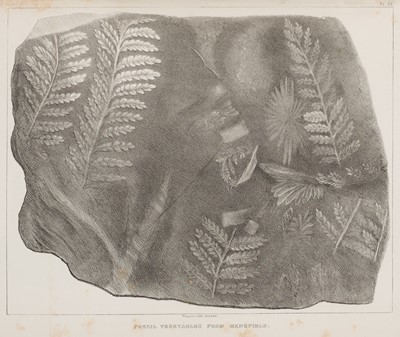Lot 59 - Hitchcock (Edward). Final Report on the Geology of Massachusetts, 1st edition, 1841