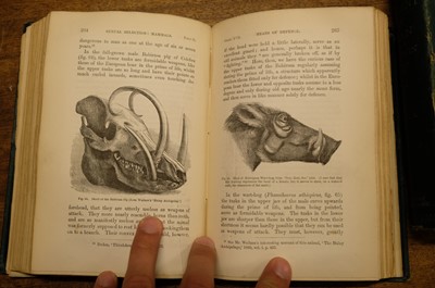 Lot 47 - Darwin (Charles). The Descent of Man, 2 volumes, 1st edition, 1st issue, London: John Murray, 1871