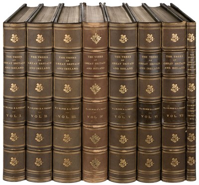 Lot 51 - Elwes (Henry John & Augustine Henry). The Trees of Great Britain and Ireland, 8 volumes (volumes 1-7 plus index volume), 1st edition, Edinburgh: Privately Printed, 1906-1913