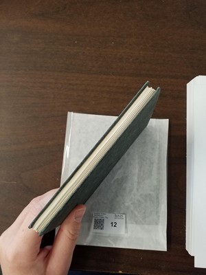 Lot 12 - Potter (Beatrix). The Tale of Peter Rabbit, 1st edition, 1902