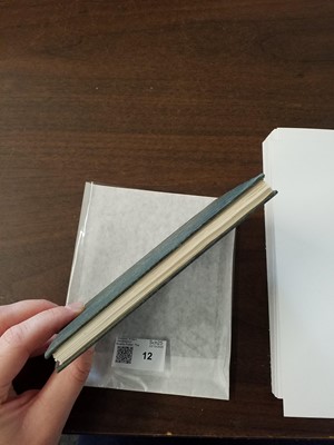 Lot 12 - Potter (Beatrix). The Tale of Peter Rabbit, 1st edition, 1902