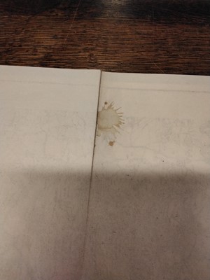 Lot 106 - Wray Castle Estate. Illustrated Particulars, with Plan and Conditions of Sale..., 1928