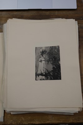 Lot 30 - China. A collection of 45 photographs of China by Wilbur T. Gracy, c. 1903
