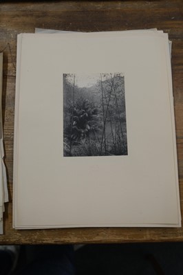 Lot 30 - China. A collection of 45 photographs of China by Wilbur T. Gracy, c. 1903