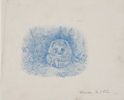Lot 122 - Potter (Beatrix). Old Mr. Pricklepin progressive proofs, circa 1917