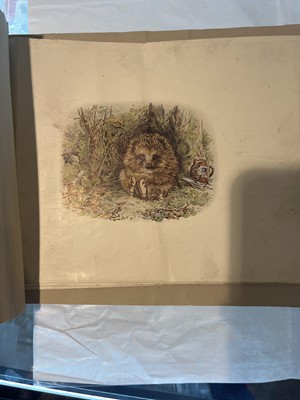 Lot 122 - Potter (Beatrix). Old Mr. Pricklepin progressive proofs, circa 1917