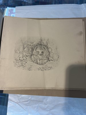 Lot 122 - Potter (Beatrix). Old Mr. Pricklepin progressive proofs, circa 1917