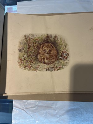 Lot 122 - Potter (Beatrix). Old Mr. Pricklepin progressive proofs, circa 1917