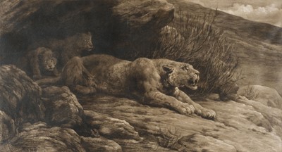 Lot 257 - Dicksee (Herbert). Lioness and Cubs, published by Frost & Reed, 1910