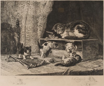 Lot 298 - Ronner (Henriette, 1821 - 1909). Two etchings of cats, Brussels: circa 1885