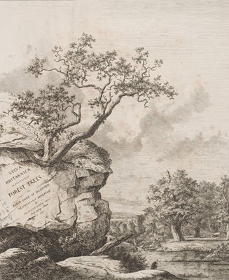Lot 102 - Strutt (Jacob George). Sylva Britannica; or, Portraits of Forest Trees..., 1826