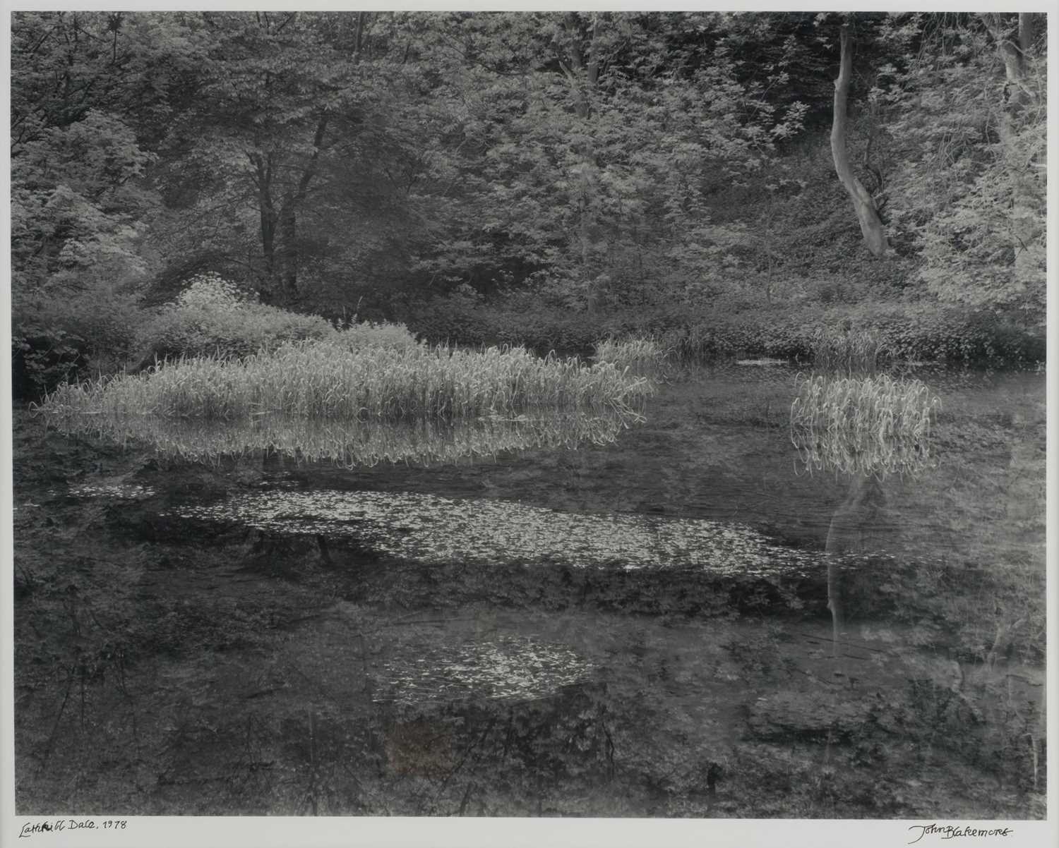 Lot 8 - Blakemore (John, 1936-2025). Lathkill Dale, Derbyshire..., vintage gelatin silver print