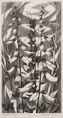 Lot 395 - Poole (Monica, 1921-2003). Foxgloves, wood engraving