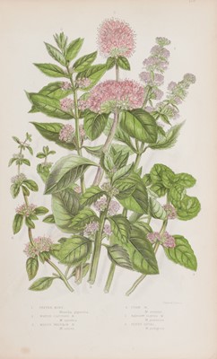 Lot 294 - Prints & engravings. A collection of approximately 700 prints, mostly 19th-century