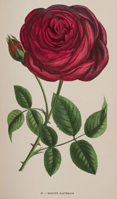 Lot 95 - Jamain (Hippolyte & Eugene Forney). Les Roses, 1873