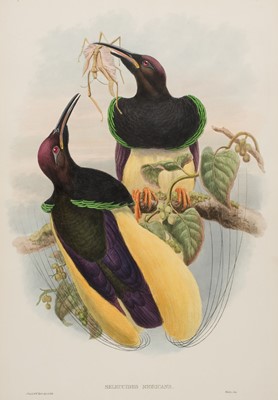 Lot 238 - Gould (John & W. Hart). Six prints of Birds of Paradise, [1875 - 88]