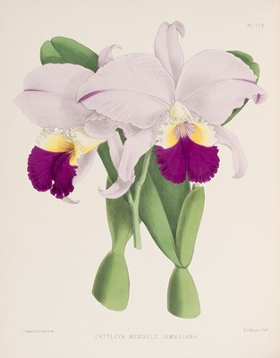 Lot 104 - Warner (Robert & others). The Orchid Album, volumes I-IV, 1882-85