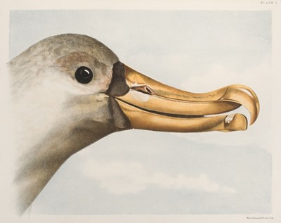 Lot 92 - Green (J. F.) Ocean Birds, 1st edition, 1887