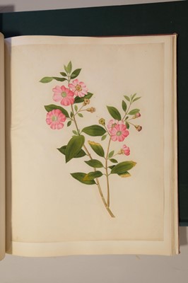 Lot 1 - Chinese Export School. An album of 25 fine large botanical studies in watercolour, circa 1830-40