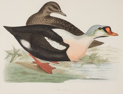 Lot 130 - Morris (Beverley R.). British Game Birds and Wildfowl, 1864