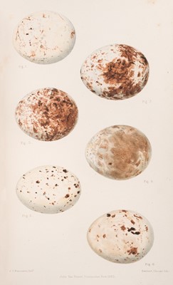 Lot 142 - Wolley (John). Ootheca Wolleyana: an Illustrated Catalogue..., 1864-1907