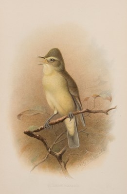 Lot 120 - Howard (H. Eliot). The British Warblers, 2 volumes, 1st edition, 1907-14