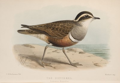 Lot 107 - Armitt, Mary L. Studies of Lakeland Birds, 1897 & 1901