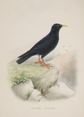 Lot 106 - Aplin (O. V.). The Birds of Oxfordshire, 1st edition, 1889