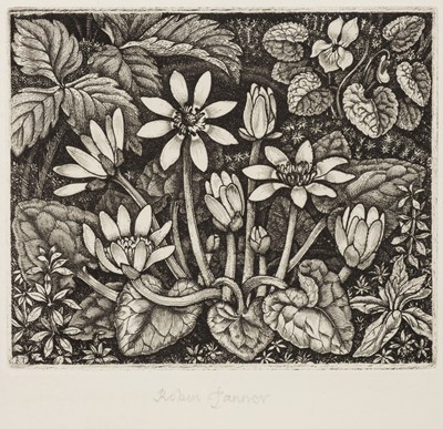 Lot 414 - Tanner (Robin, 1904-1988) and Tanner (Heather, 1903-1993). Woodland Plants, 1981