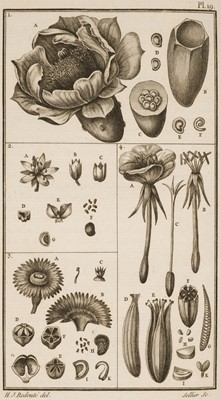 Lot 123 - Ventenat (Étienne Pierre). Tableau de Regne Végétal...