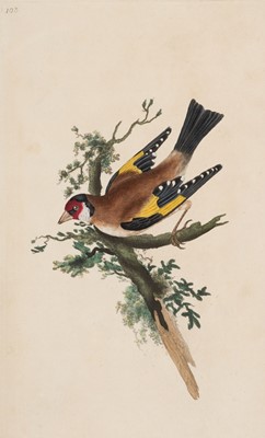 Lot 42 - Donovan (Edward). The Natural History of British Birds, 5 volumes, 1799
