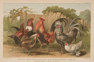 Lot 213 - Birds. A collection of approximately 105 prints, late 19th & early 20th century