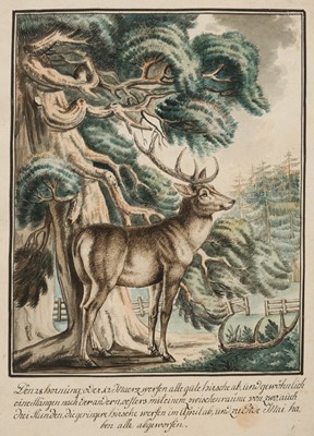 Lot 126 - Wintter (Joseph Georg, 1751-1789), 9 watercolours of Red Deer