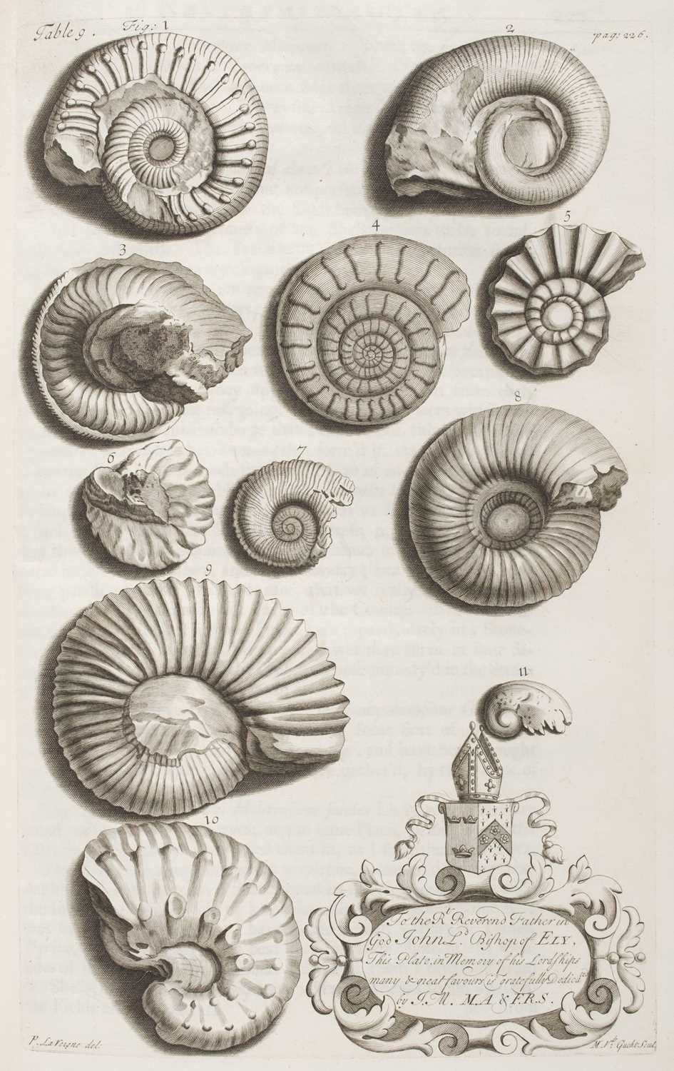 Lot 67 - Morton (John). The Natural History of Northampton-shire, 1st edition, 1712