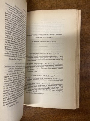 Lot 95 - Darwin (Charles). Geological Observations on South America, 1st edition, 1846