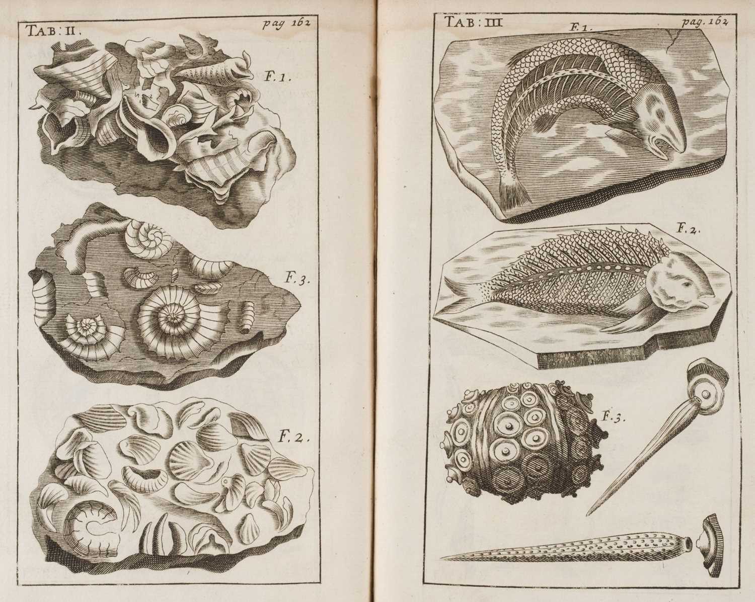 Lot 62 - Ray (John). Three Physico-Theological Discourses, 1693