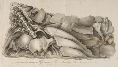 Lot 88 - Darwin (Charles). The Quarterly Review volume LXV, December 1839 & March 1840