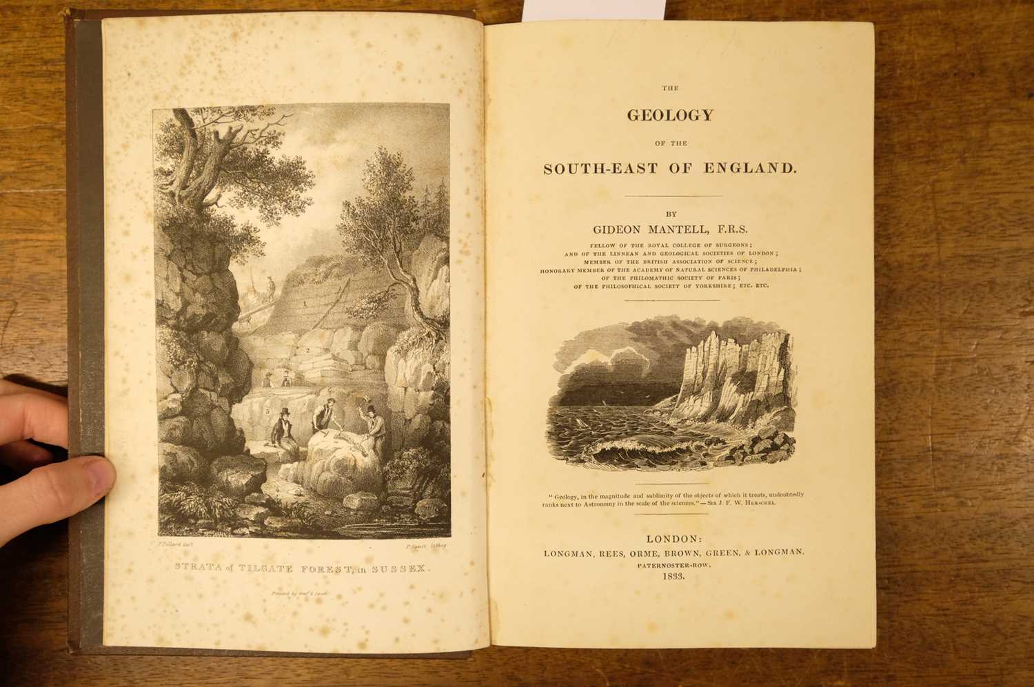 Lot 86 - Mantell (Gideon). The Geology of the South-East of England..., 1833